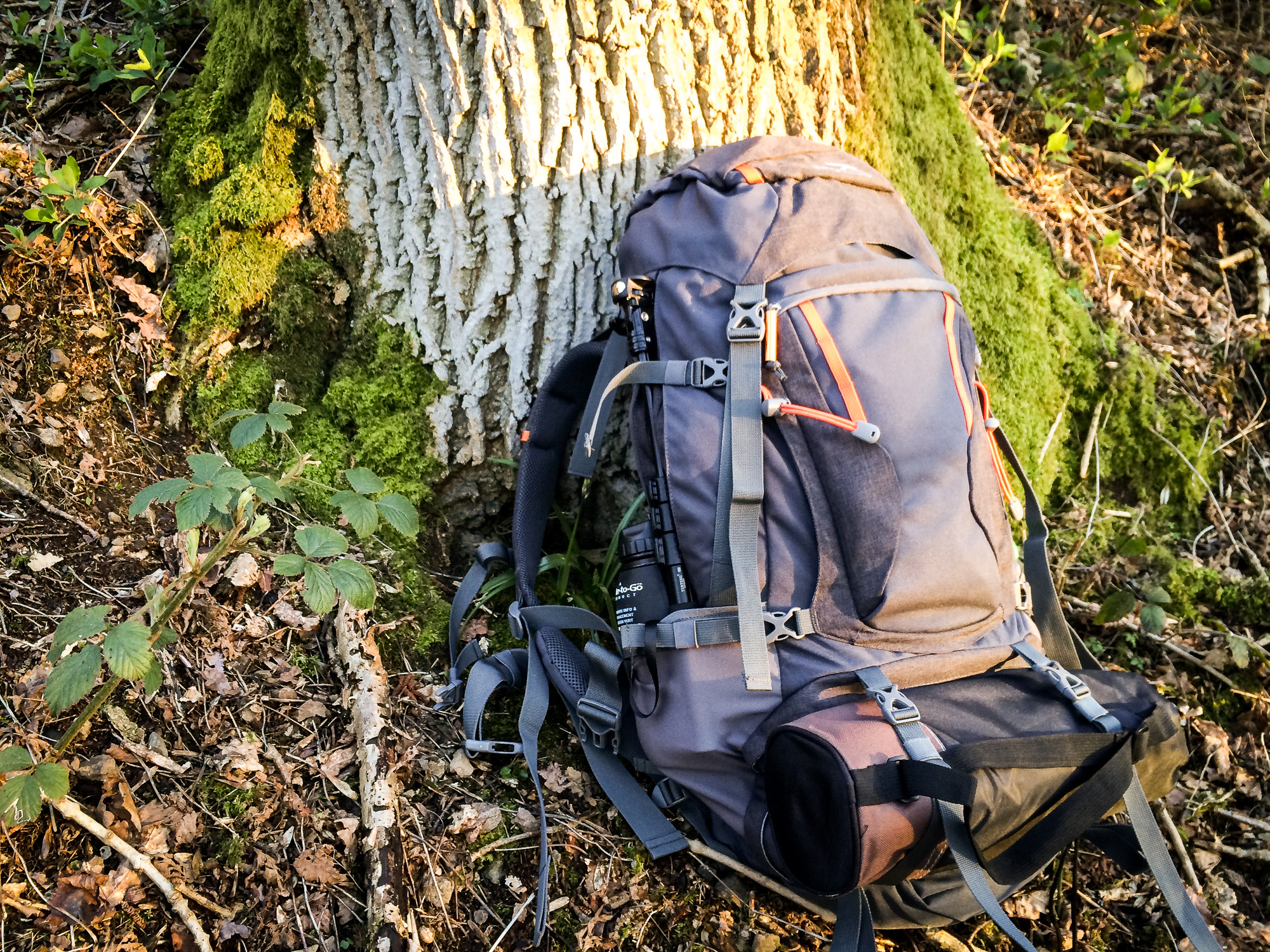 What To Be Aware On Your Backpack Trip! - BackPax Mag